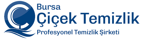 çiçek temizlik bursa